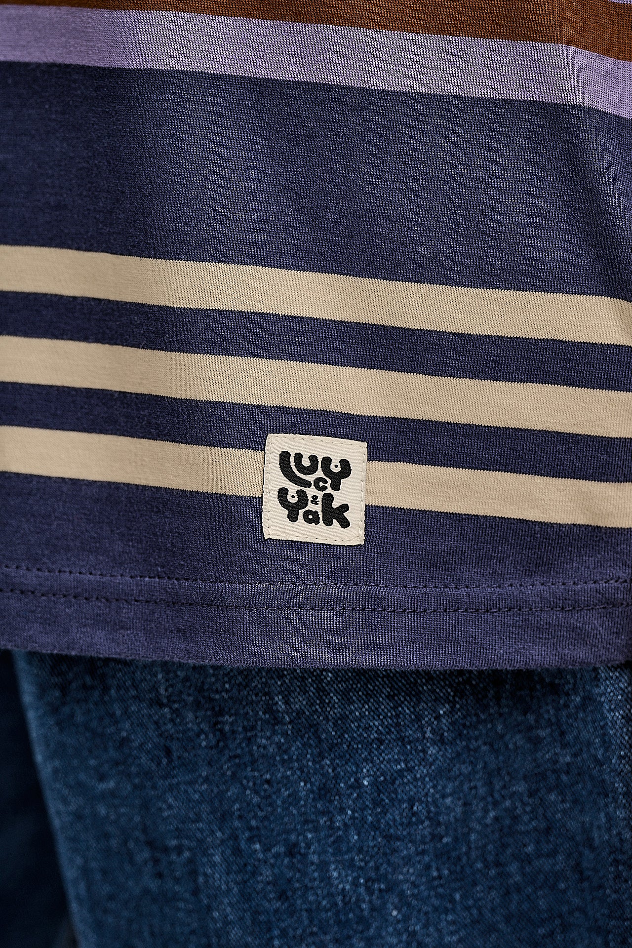 Benny - Oversized Cotton Tee in Blue Earthy Stripe - Image 3